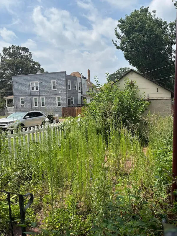 Before image for Patio Reclamation